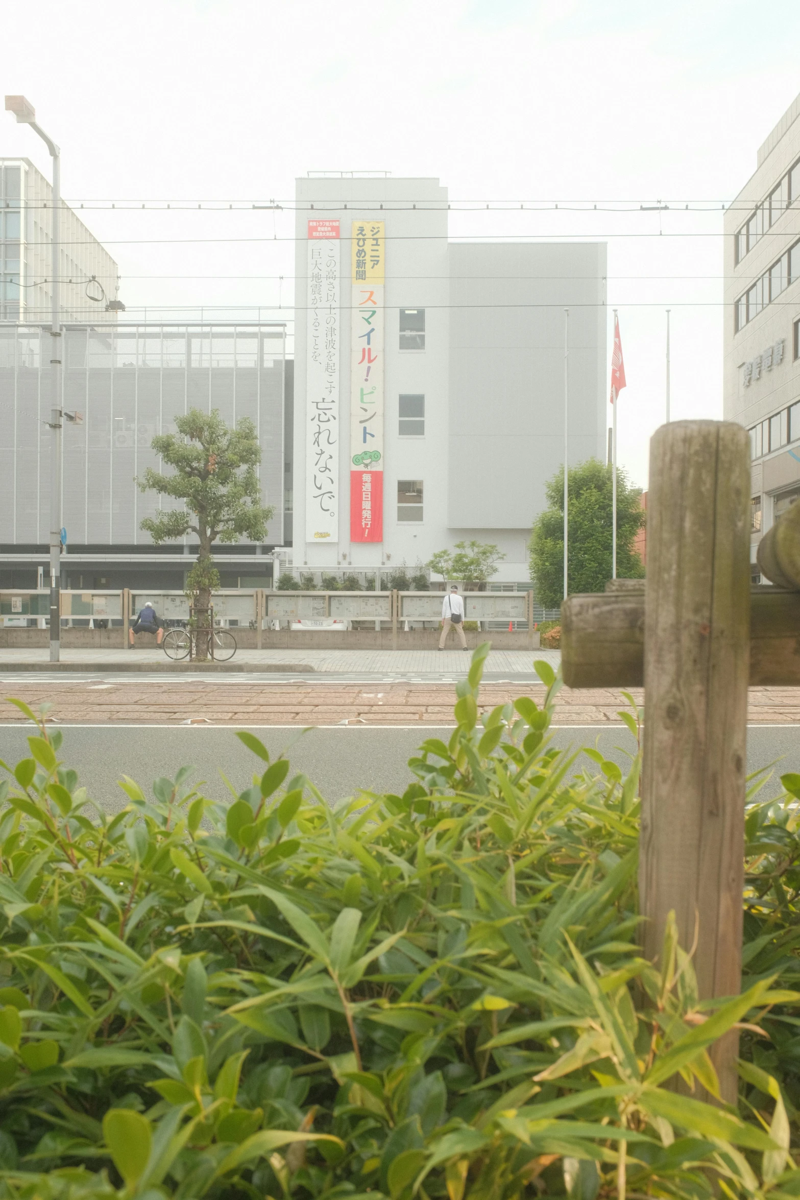 a fire hydrant sitting on the side of a road, inspired by Katsukawa Shunsen, sōsaku hanga, straight camera view, overgrown mall, museum setting, late morning