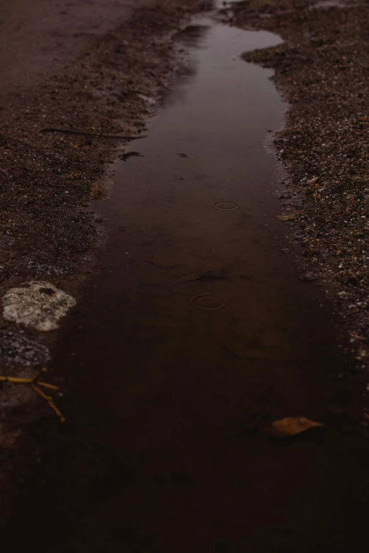 a puddle of water sitting on the side of a road, dark yellowish water, still from a nature documentary, pathway, 8k 50mm iso 10