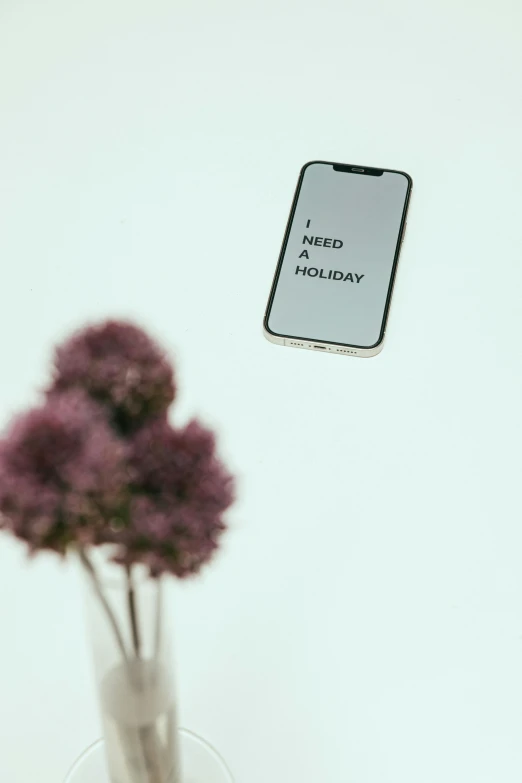 a vase filled with purple flowers next to a cell phone, pexels contest winner, hypermodernism, floating in mid - air, minimalist sticker, holiday, hidden message