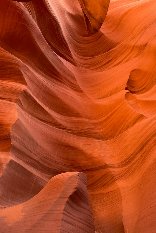 a close up of a rock formation in the desert, antelope canyon, towering waves, flowing salmon-colored silk, mane