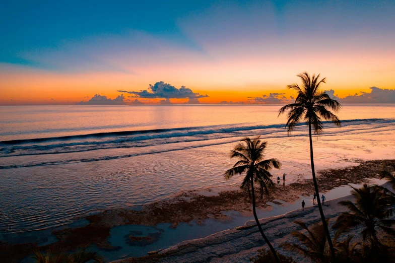 palm trees and the sun rise above a beach