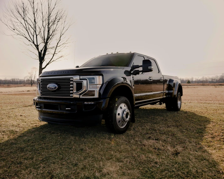 a black pickup truck parked in a field, unsplash, extremely detailed + 8k, extremely polished, ultra realistic 8k octan photo, 2263539546]