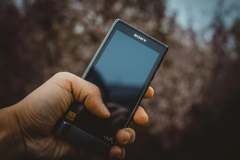 a person holding a cell phone in their hand, sony a7z, cell phone, rectangle, spring season