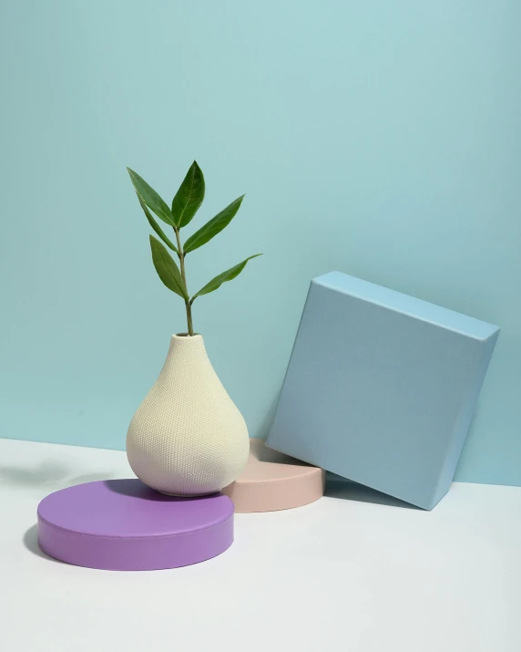 a white vase sitting on top of a table next to a blue box, product image, miscellaneous objects, pastel matte colors, architectural and tom leaves