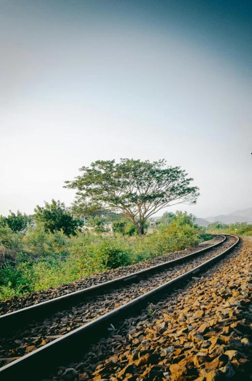 a train traveling down train tracks next to a forest, baobab trees in distance, lush countryside, hill