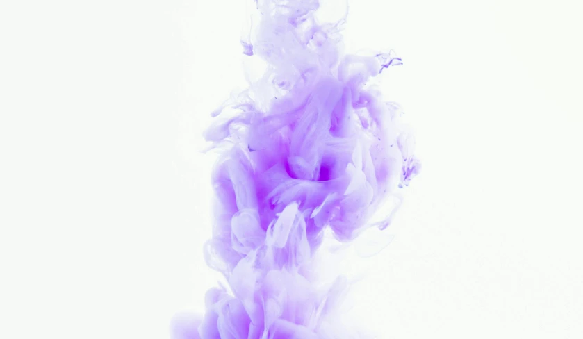 a close up of a pink substance in water, an album cover, pexels, white and purple, fume fx, wallpaper mobile, white background