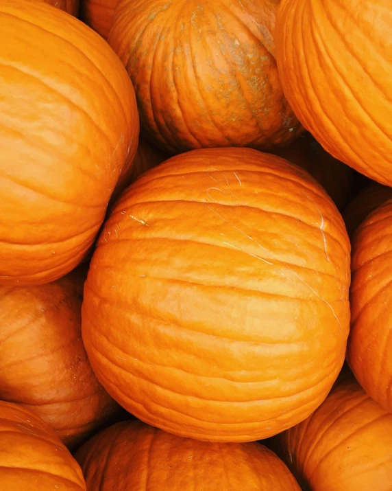 a pile of pumpkins sitting on top of each other, profile image, no - text no - logo, zoomed out to show entire image, thumbnail