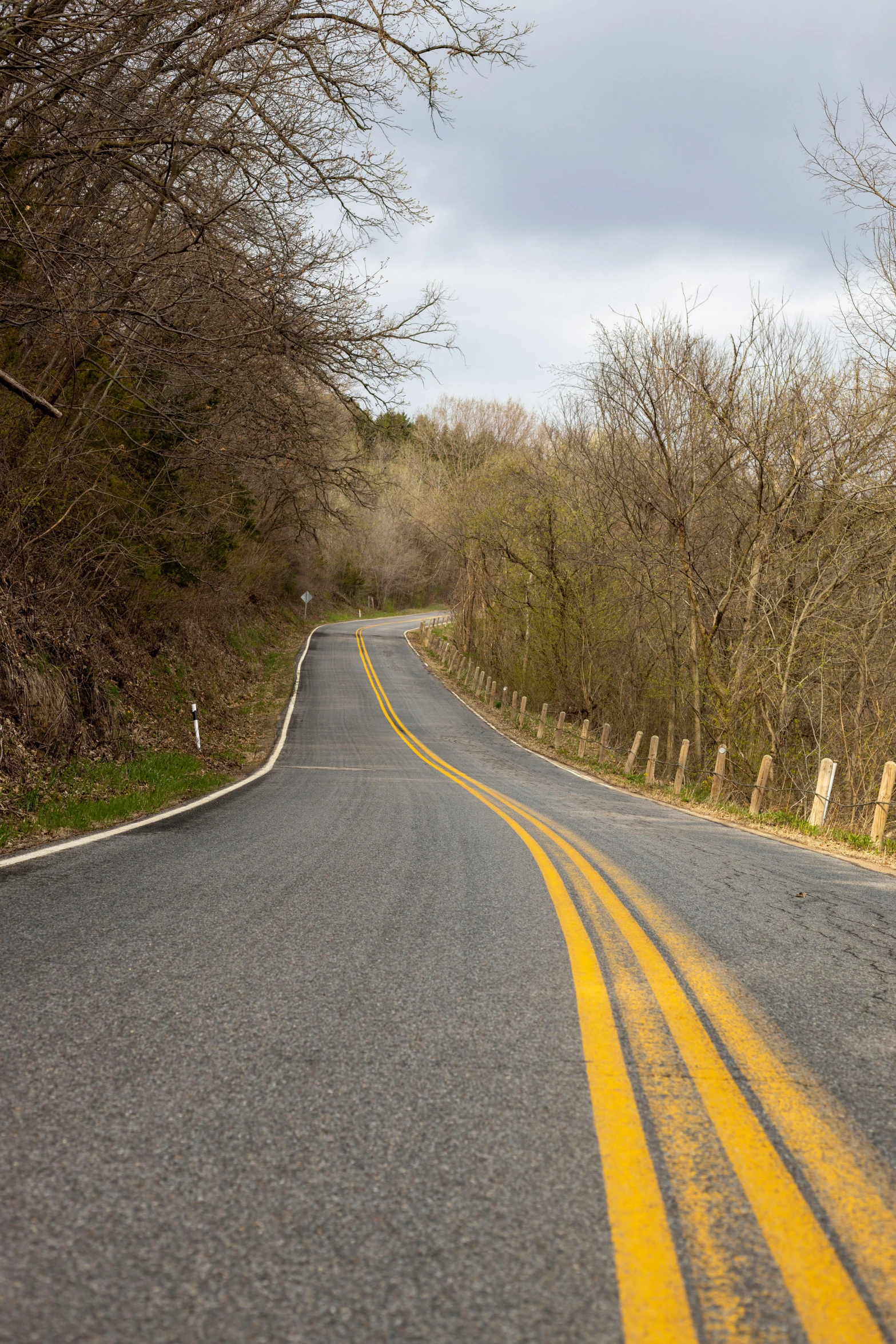 a couple of yellow lines on the side of a road, a picture, by Adam Manyoki, renaissance, hilly road, early spring, bentonville arkansas, 2 5 6 x 2 5 6 pixels