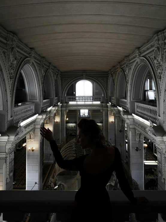 a person standing on a balcony in a building, pexels contest winner, neoclassicism, dark majestic ornate great hall, doing an elegant pose over you, biennale, inside a library