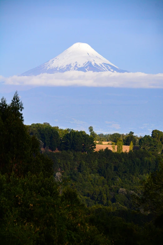 a snow capped mountain sits above a forest of trees