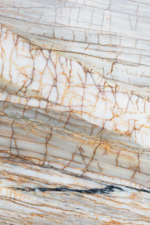 a close up of a large slab of marble, inspired by Patrick Pietropoli, trending on unsplash, shades of gold display naturally, lianas, striped, opalescent