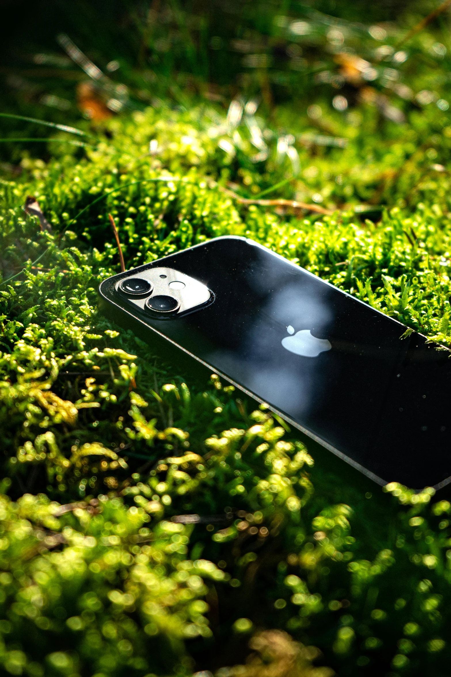 a close up of a cell phone on a mossy surface, by Niko Henrichon, iphone 1 3 pro max, sustainable materials, fake grass, with apple