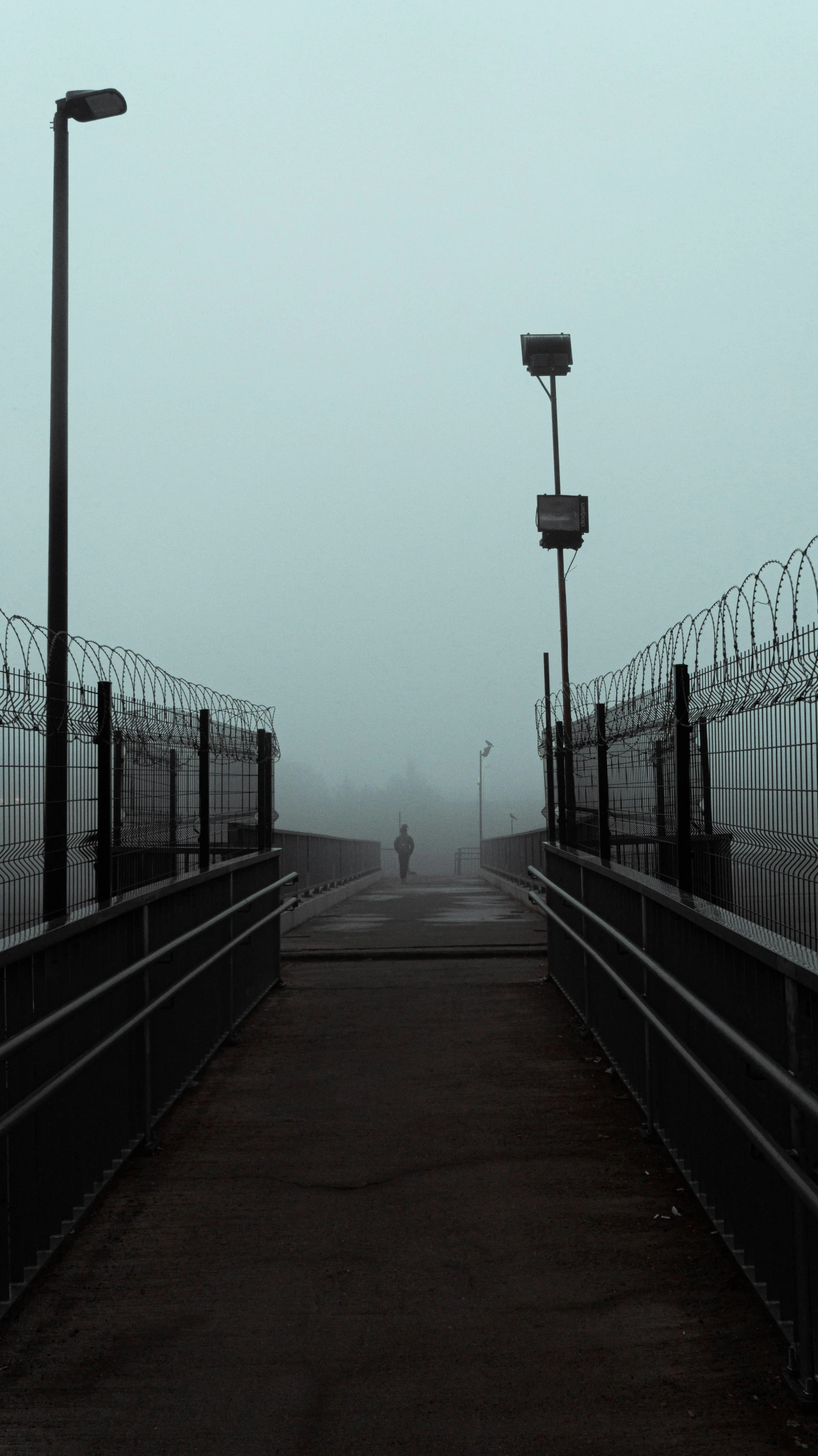 a person walking across a bridge on a foggy day, inspired by Elsa Bleda, prison background, instagram picture, gate to hell, monochromatic photo