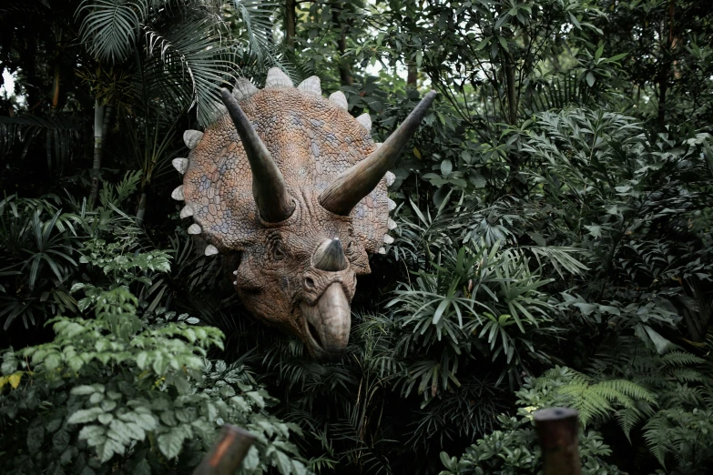 a close up of a dinosaur head in a forest, a statue, inspired by Abidin Dino, trending on unsplash, in a horned helmet, biodome, 🚿🗝📝