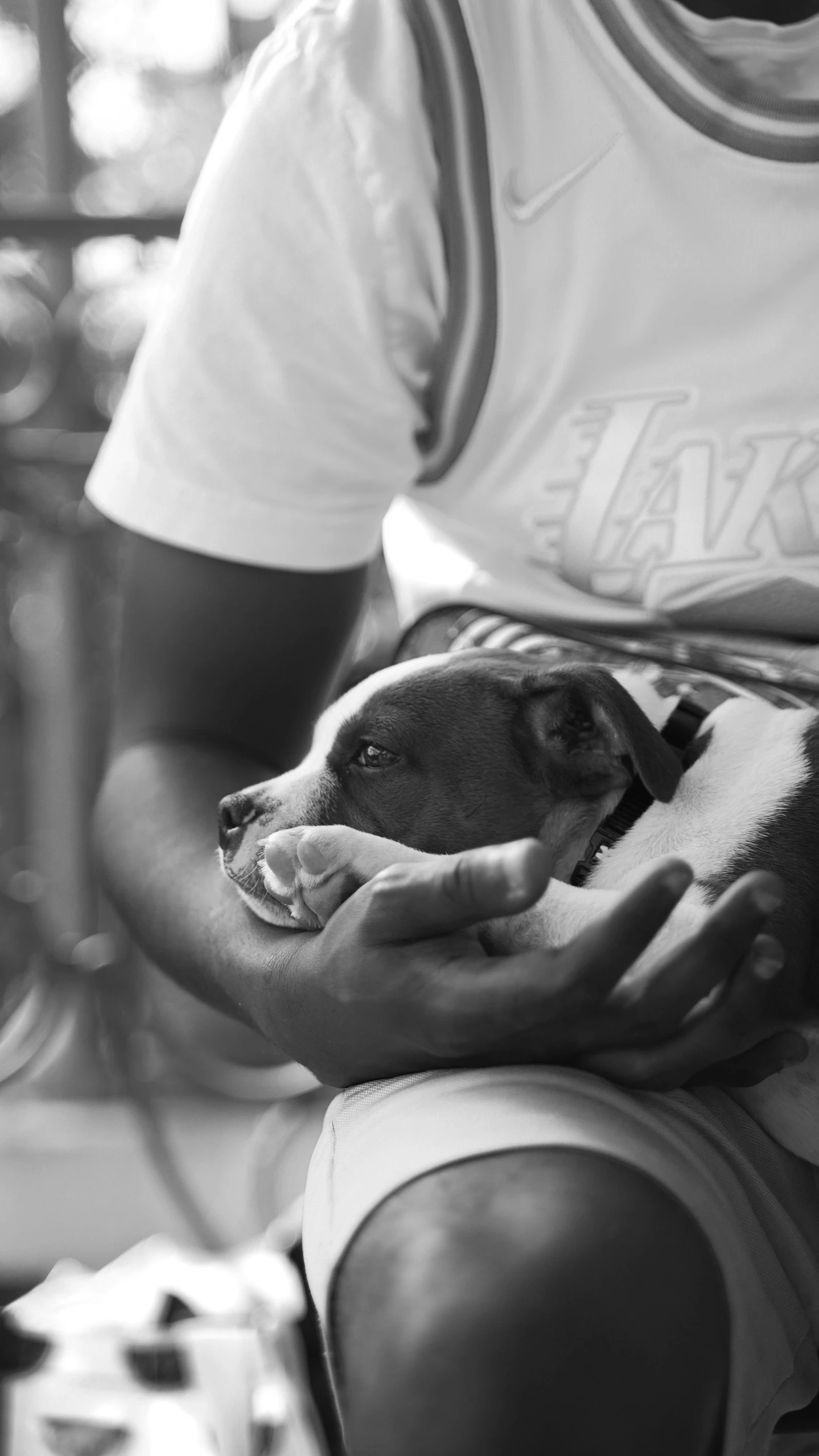 a black and white photo of a man holding a dog, a black and white photo, pexels, photorealism, resting, puppy, pitbull, detailed »