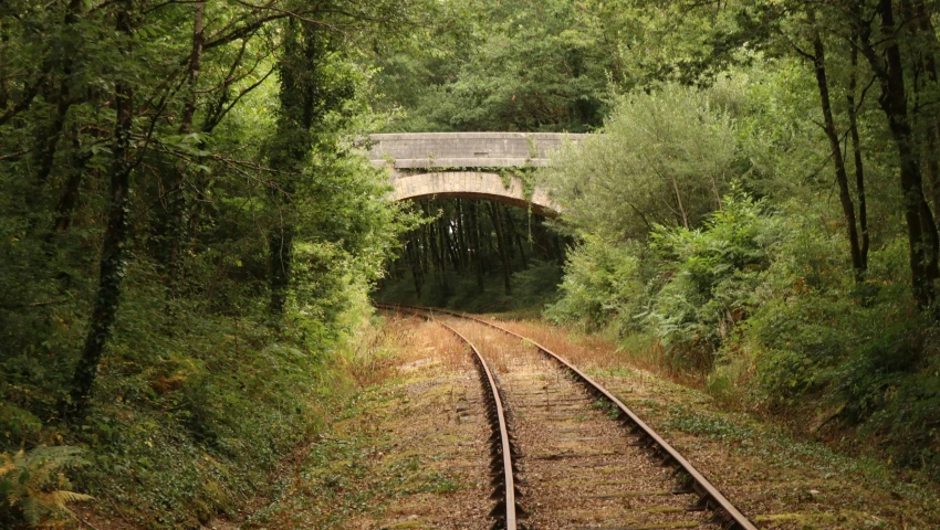 a train traveling through a lush green forest, an album cover, by Lucia Peka, unsplash, renaissance, old bridge, abandoned photograph, traveling in france, 2000s photo