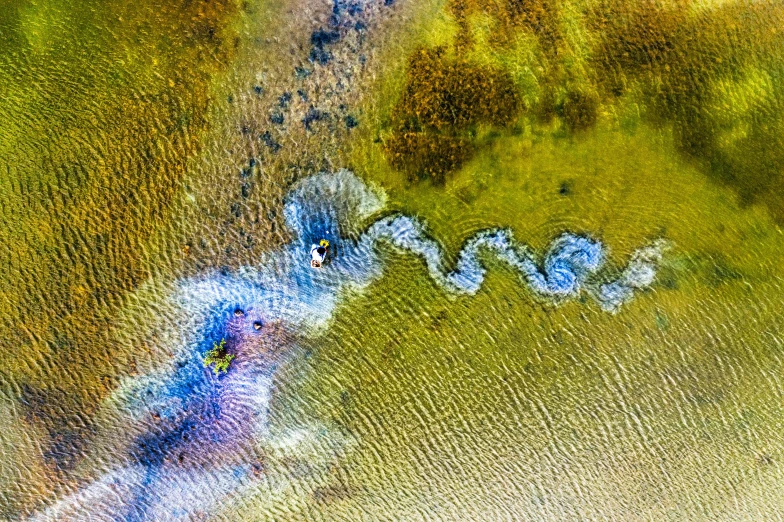 a close up of a bird's eye view of a body of water, an ultrafine detailed painting, by Jan Rustem, land art, flowing clear water creek bed, abstract colours, salt dunes, serpentine water monster