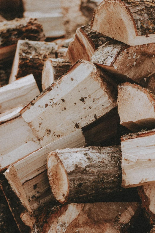 a pile of wood sitting on top of a pile of dirt, profile image, cottagecore, numerous fires, thumbnail