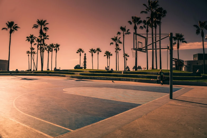 a basketball court with palm trees in the background, by Carey Morris, unsplash contest winner, in a square, oceanside, late afternoon, afternoon hangout