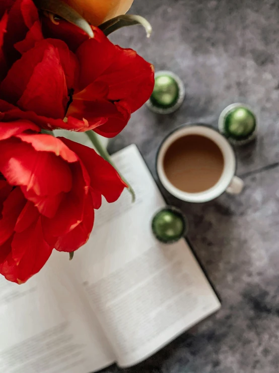 an open book sitting on top of a table next to a cup of coffee, by Lucia Peka, pexels contest winner, romanticism, red flower, 15081959 21121991 01012000 4k, red and green color scheme, full body image