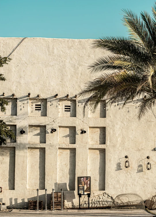 a white building with a palm tree in front of it, an album cover, by Bernardino Mei, pexels contest winner, medieval arabia, stucco walls, panoramic, dubai