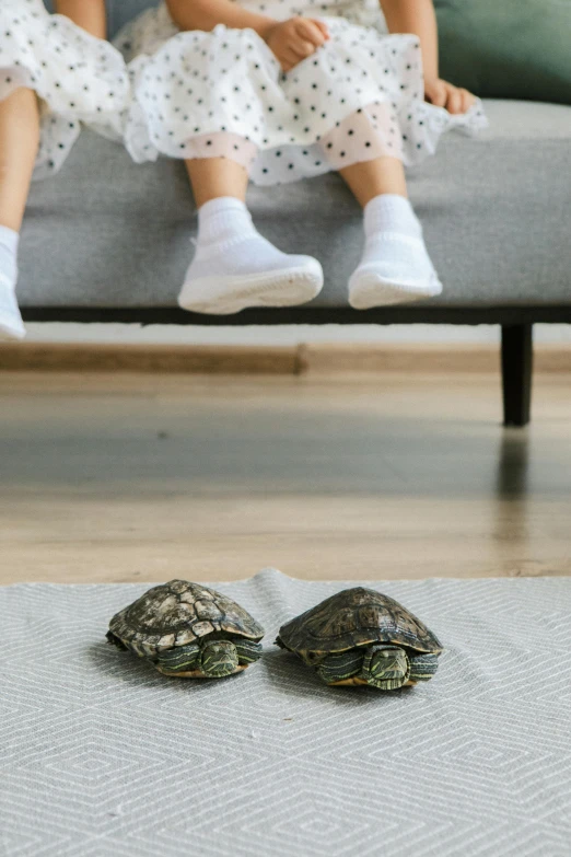 a couple of little girls sitting on top of a couch, by Jan Tengnagel, pexels contest winner, minimalism, turtles, sitting on the floor, stand off, adult pair of twins