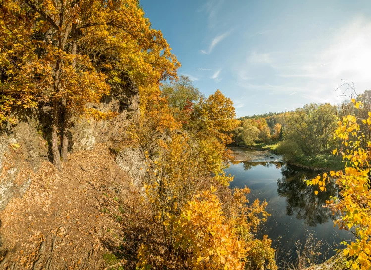 a river running through a lush green forest, a picture, inspired by Jasper Francis Cropsey, pexels contest winner, hudson river school, autumn foliage in the foreground, epic scale fisheye view, 2 5 6 x 2 5 6 pixels, swedish countryside