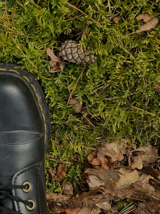 a pair of black shoes sitting on top of a lush green field, inspired by Andy Goldsworthy, trending on pexels, land art, autumnal, pinecone, doc marten boots, high detailed close up of