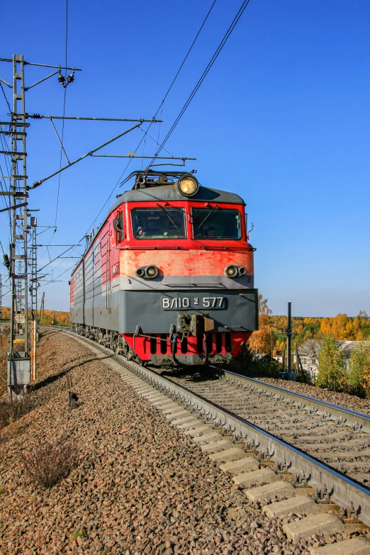 a red train traveling down train tracks next to a forest, rostov, in the sun, red brown and grey color scheme, october