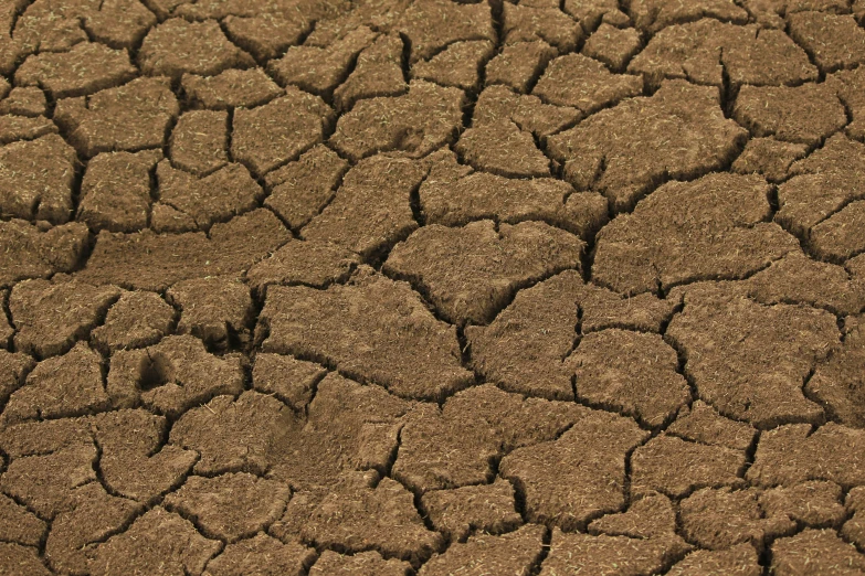a patch of dirt in the middle of a field, flickr, renaissance, large cracks, brown skin like soil, warm shading, promo image