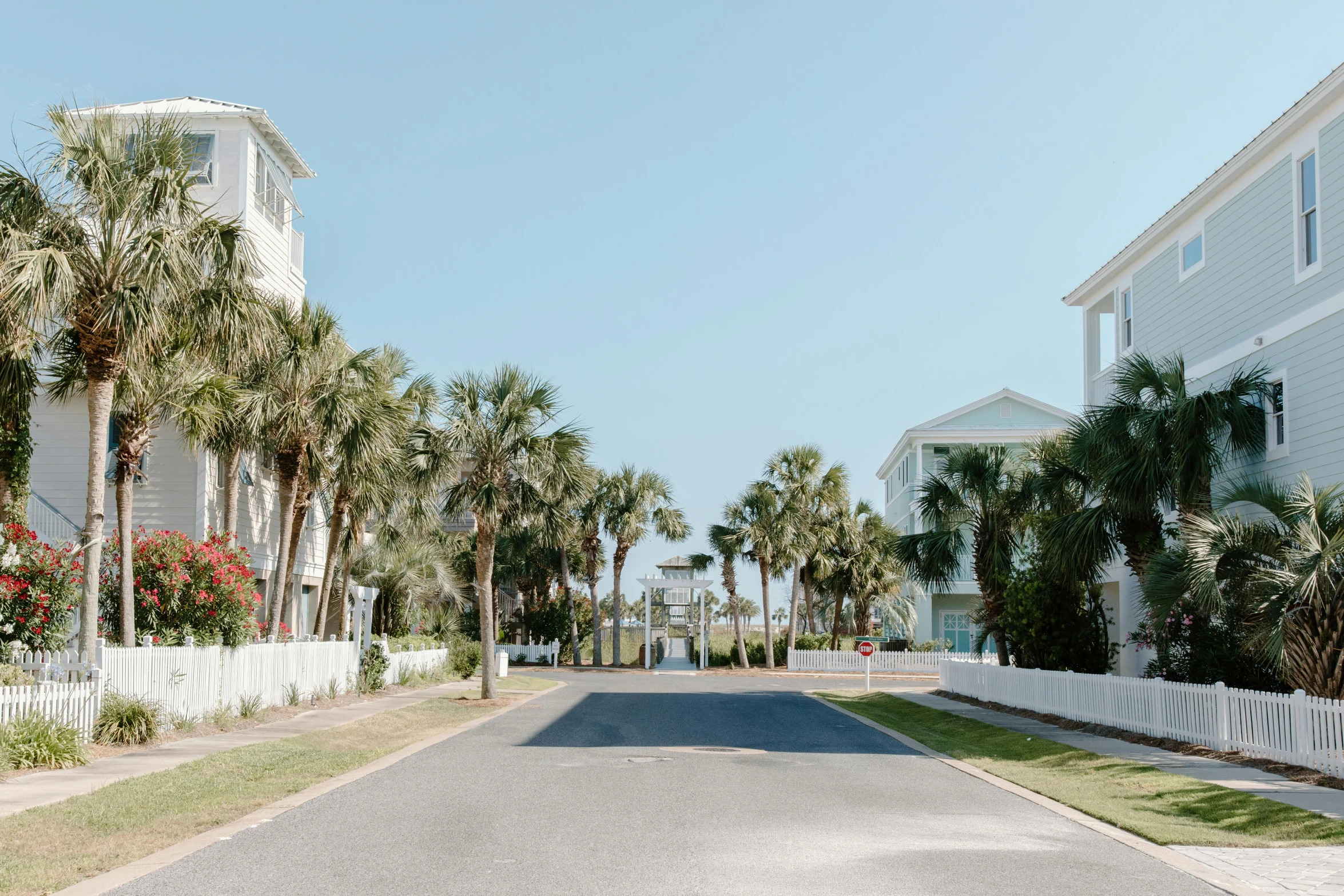 two white houses and a paved street lined with palm trees