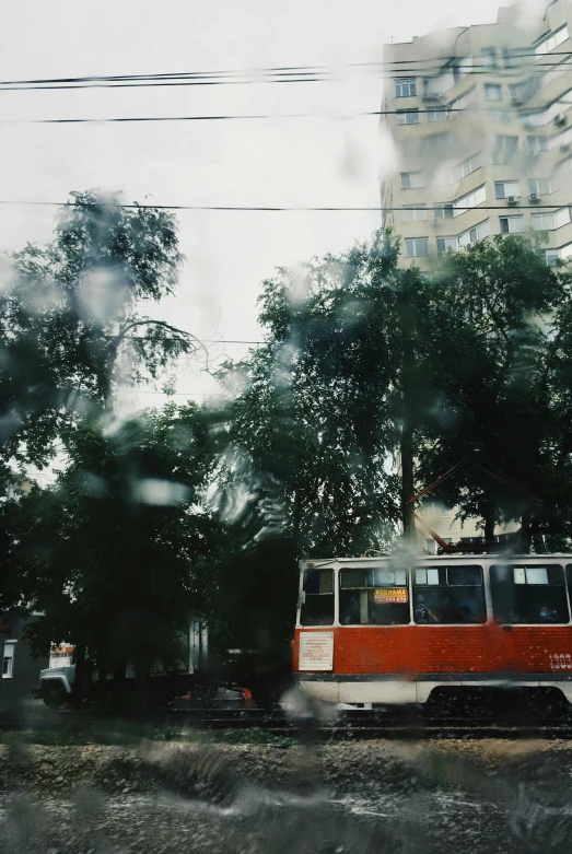 view of trees, power lines, and the city from a window