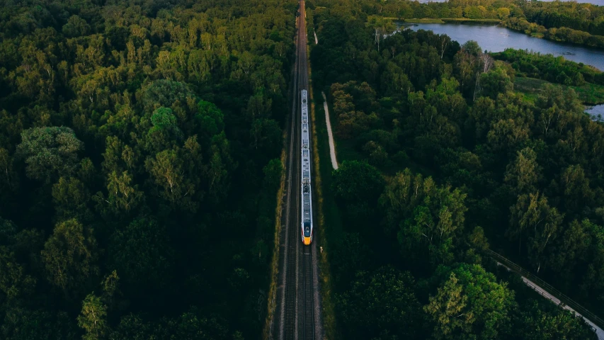 a train traveling through a lush green forest, a picture, by Jan Tengnagel, unsplash contest winner, birds eye, avatar image, panoramic shot, shot at golden hour