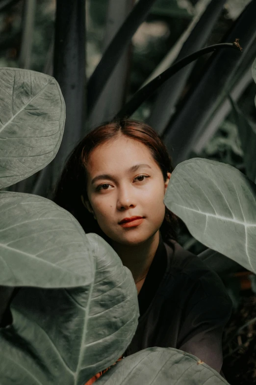 a woman in a black shirt surrounded by large green leaves, inspired by Ruth Jên, sumatraism, lovingly looking at camera, desaturated, bao phan, promo image