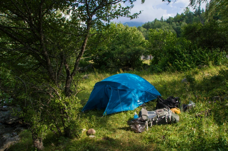 a blue tent sitting on top of a lush green field, by Muggur, unsplash, plein air, belongings strewn about, nezha, trekking in a forest, alfric overguard