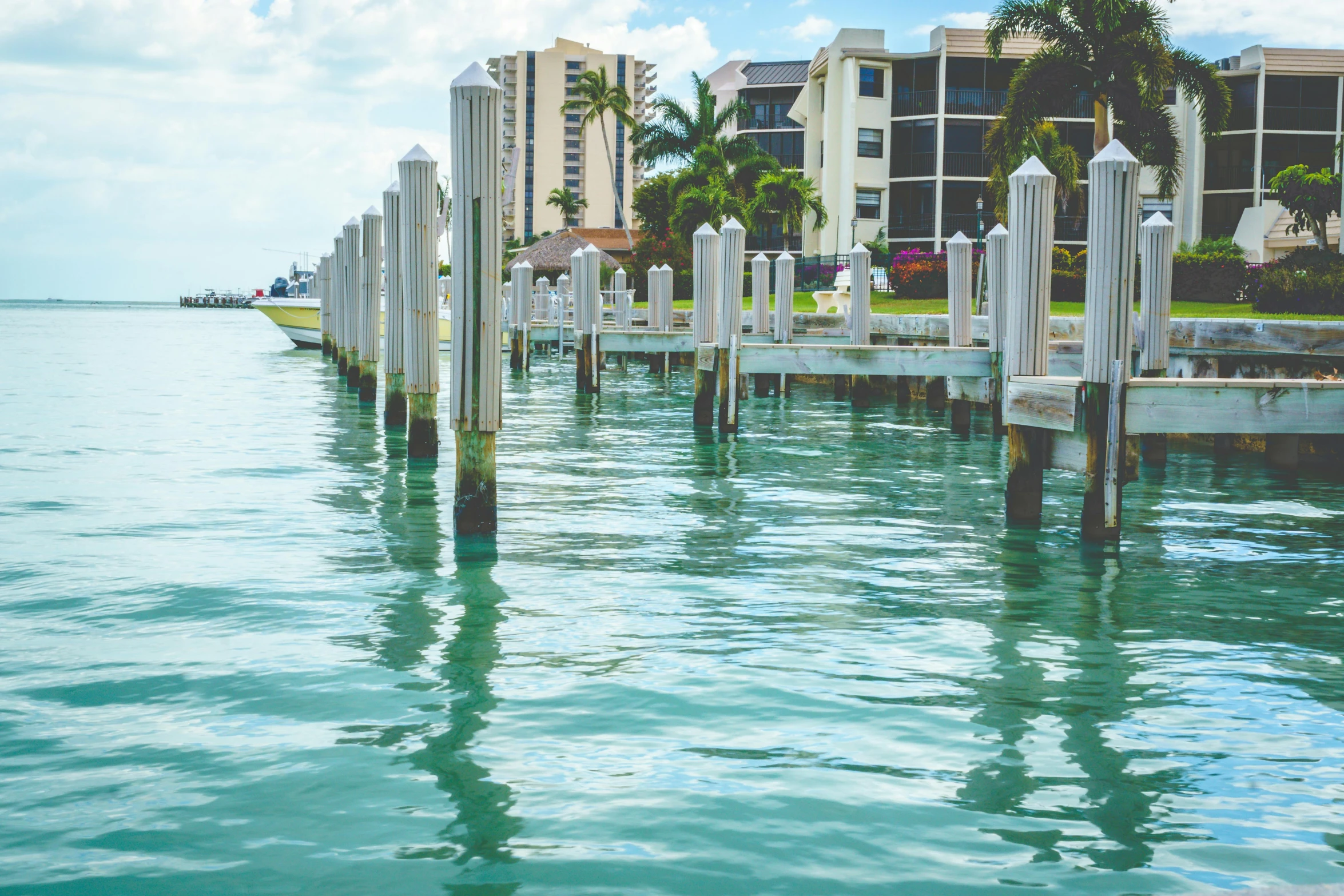 several white pillars and trees on the water