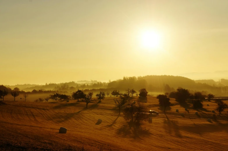 the sun is setting over a field of hay, by Thomas Häfner, pexels contest winner, hill with trees, yellow mist, sunny day with clear sky, morning light showing injuries