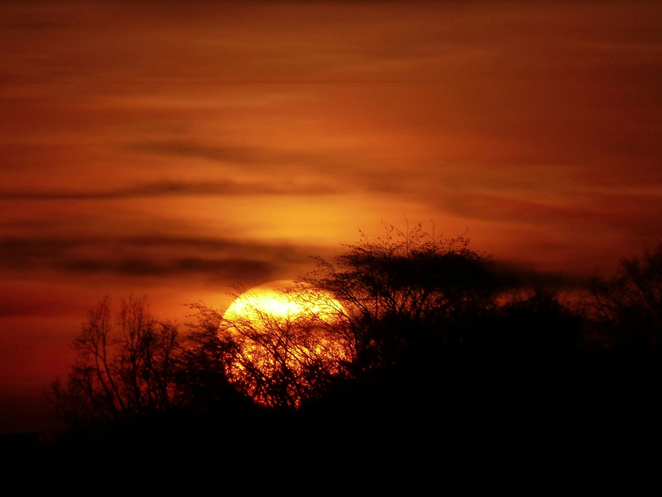 the sun is setting behind some trees, flickr, romanticism, digital yellow red sun, samburu, night time photograph, today\'s featured photograph 4k