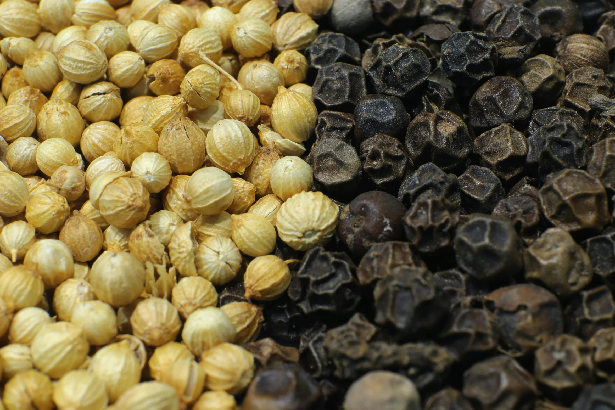 a close up of a bunch of nuts, by John Murdoch, hurufiyya, muted brown yellow and blacks, pepper, thumbnail, moroccan