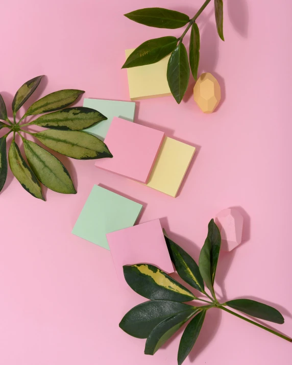 a plant and sticky notes on a pink background, product image, square shapes, multi - coloured, detail shot