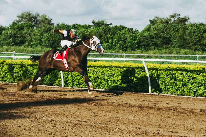 a jockey rides a horse in an arena