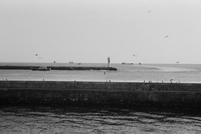 a black and white photo of birds flying over the water, harbour, farol da barra, visible from afar!!, egor letov