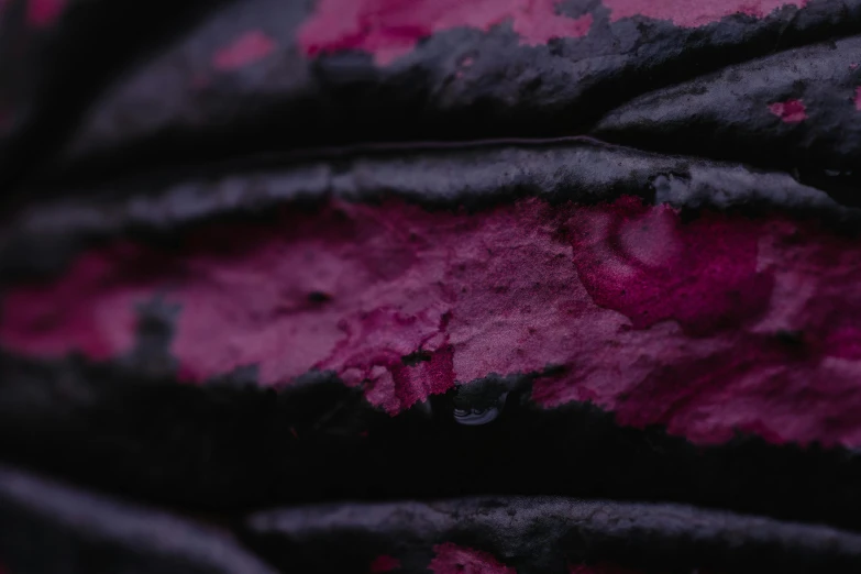 a close up of a pink and black leaf, a macro photograph, by Emma Andijewska, unsplash, graffiti, chocolate frosting, dark purple garments, stacked image, body with black and red lava