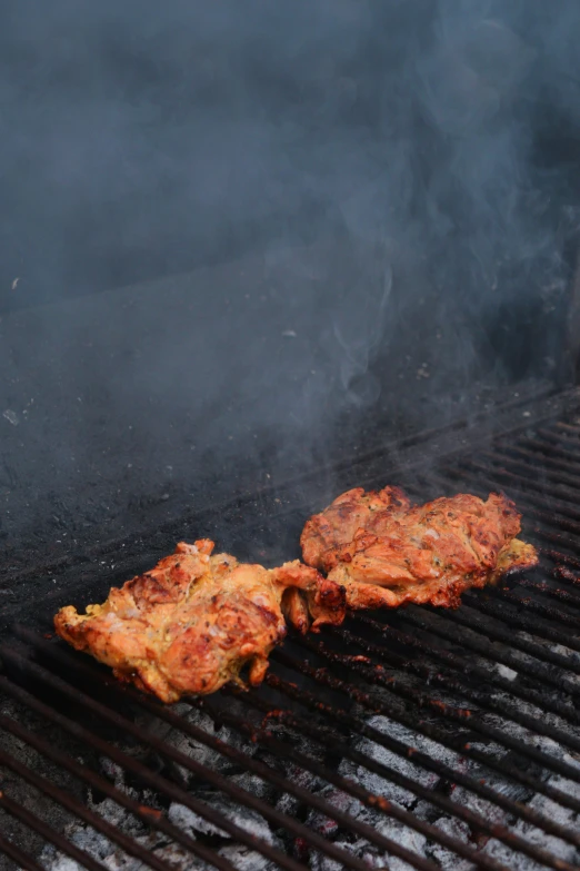 two pieces of chicken are on top of a grill