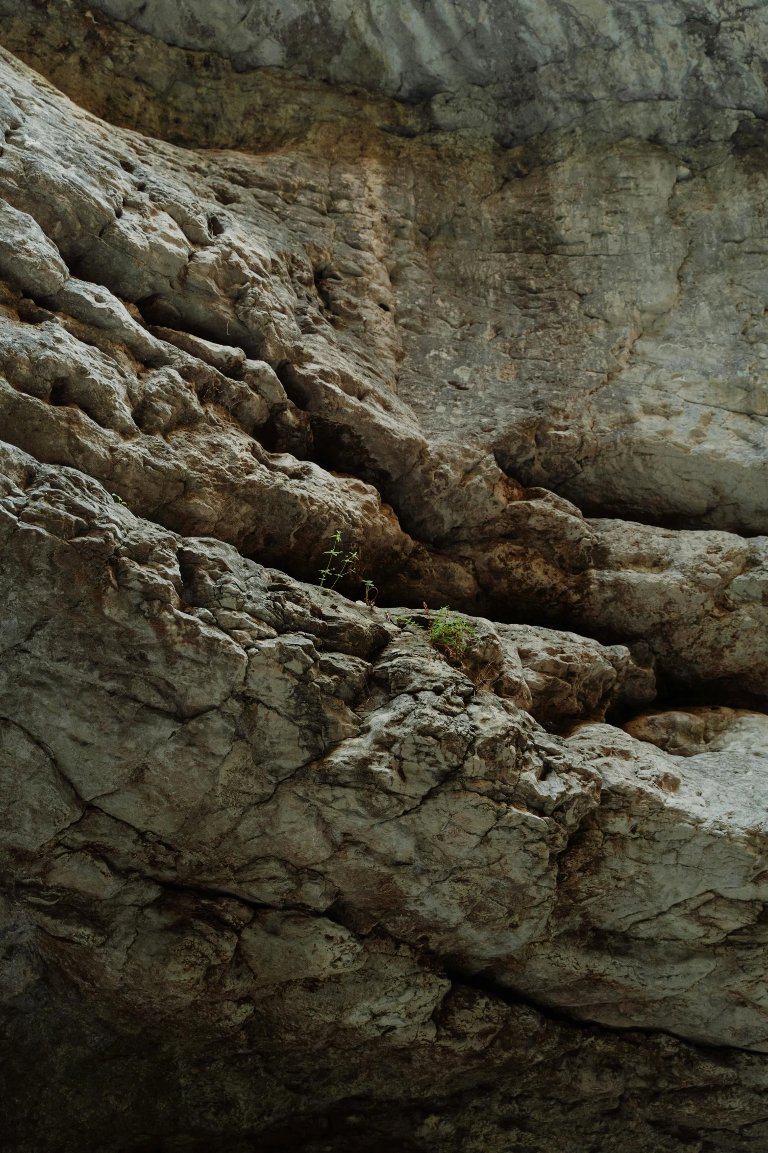 a bird that is sitting on a rock, an album cover, by Gaudi, unsplash, romanticism, geological strata, panoramic shot, ((rocks)), low detail