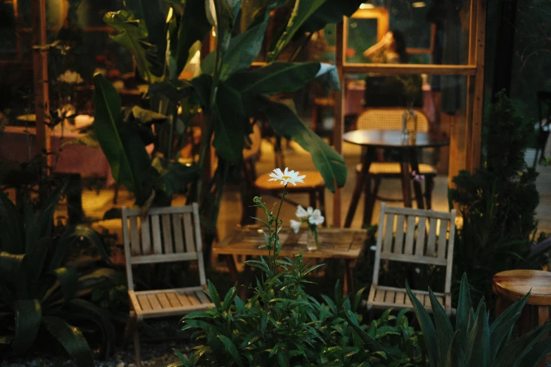 two chairs are next to plants and tables