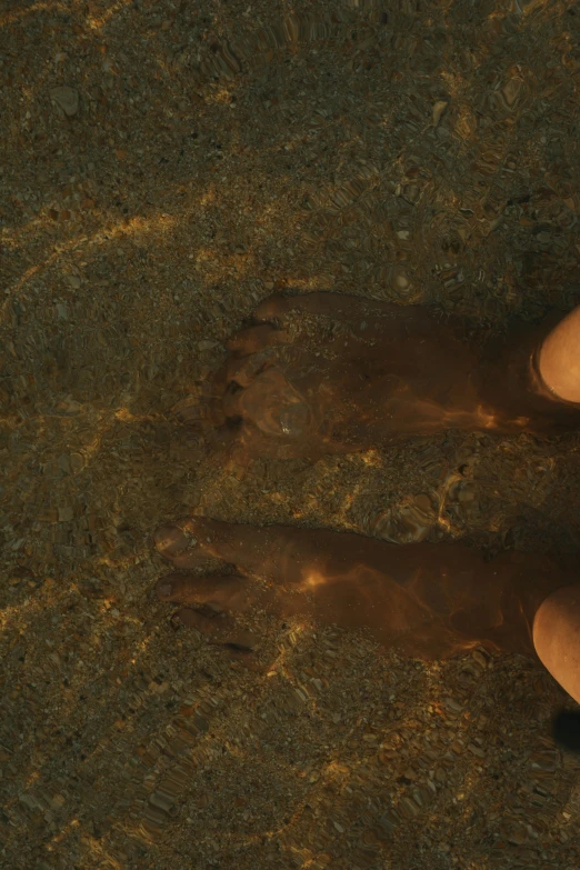 a pair of shoes that are on the ground, an album cover, unsplash, land art, human skin texture, aquaman aesthetic, brown and gold, movie still 8 k