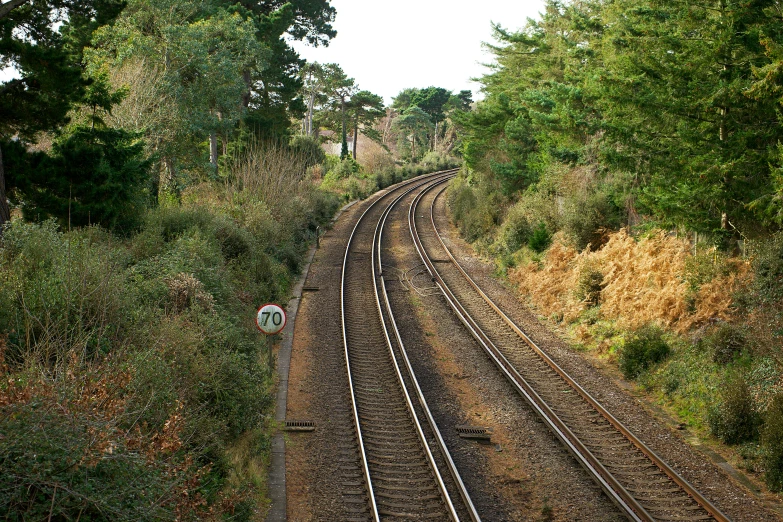 a train traveling down train tracks next to a forest, by Ian Fairweather, flickr, victorian arcs of sand, seaview, narrow footpath, 2000s photo