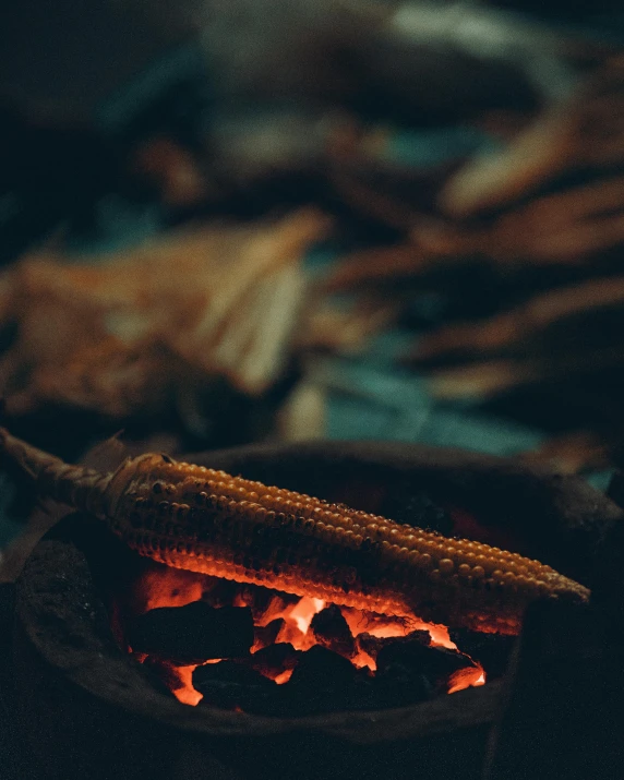 a corn on the cob is cooking over an open fire, by Elsa Bleda, pexels contest winner, moody hazy lighting, a wooden, bushfire, retro effect