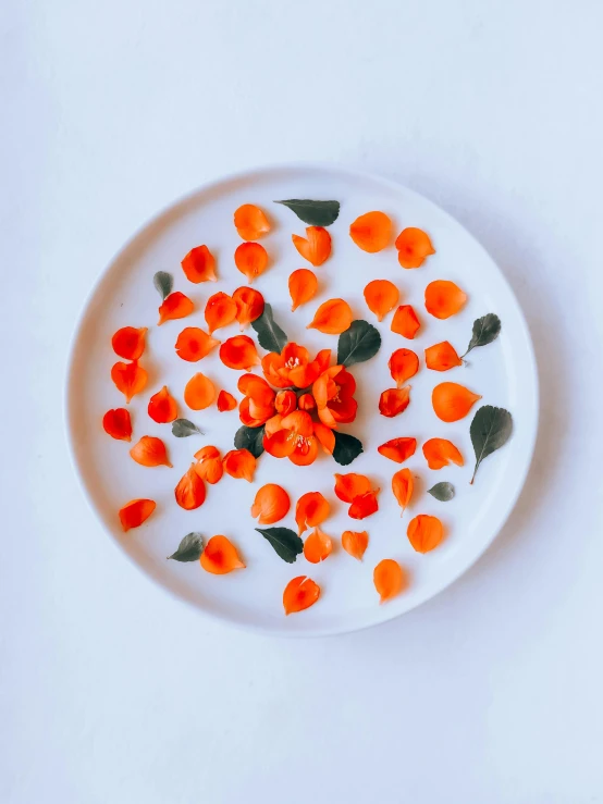 a white plate topped with orange flowers and leaves, by Rose O’Neill, trending on unsplash, process art, made out of sweets, rose petals, full product shot, red neon roses